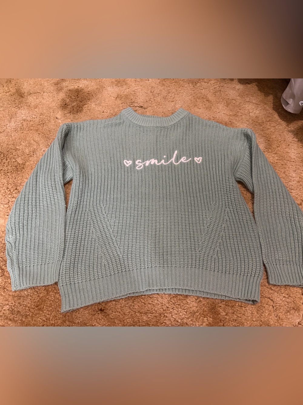 Say What? Light Sage Knit Crewneck Sweater with 'smile' Embroidery